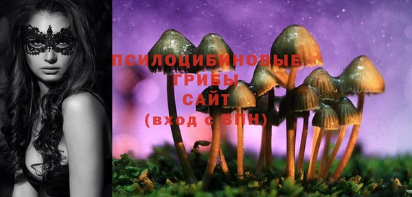 ешки Алексеевка