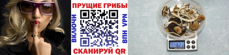 Псилоцибиновые грибы MAGIC MUSHROOMS  что такое наркотик  Нижний Ломов 